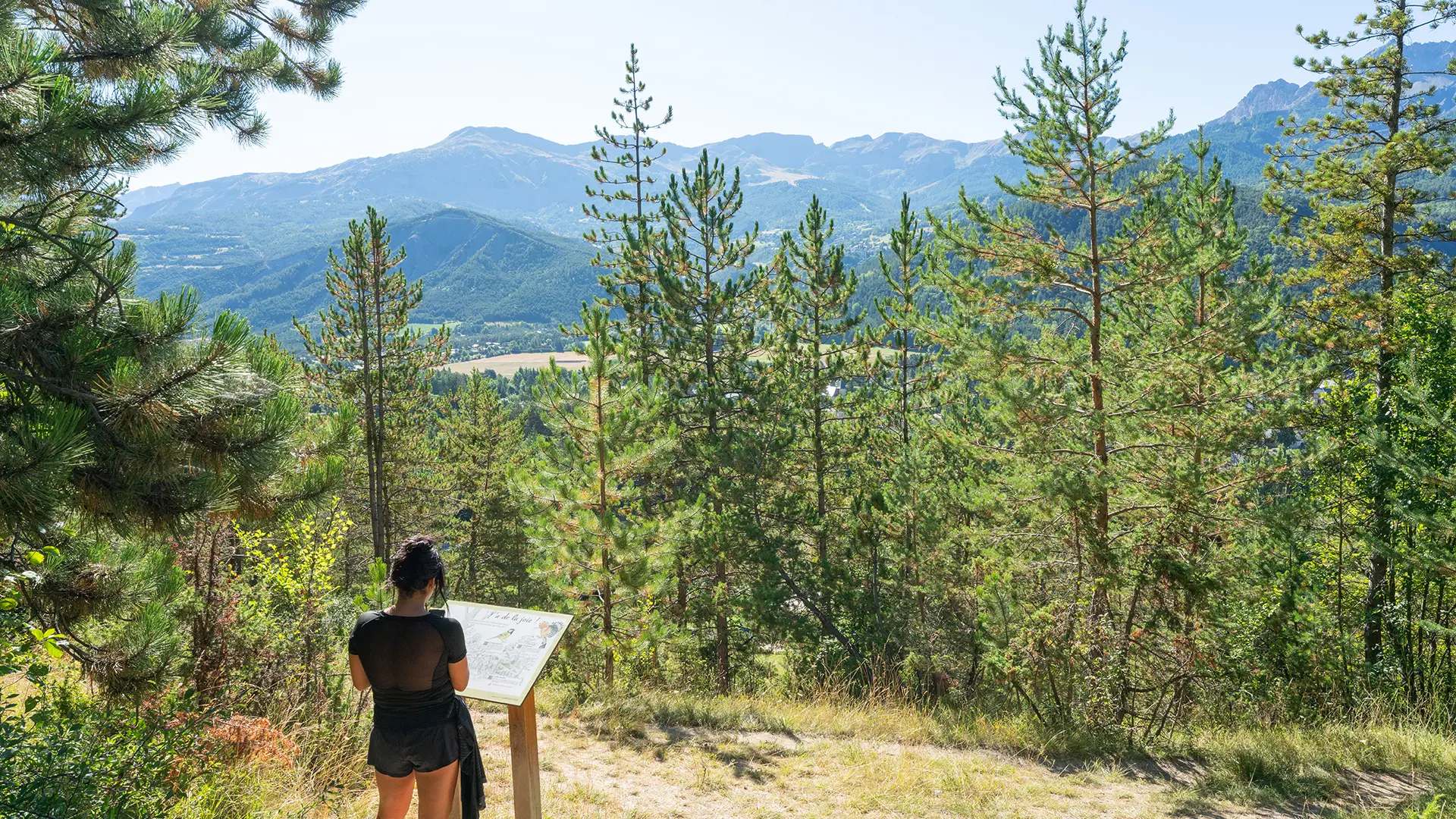 Halte 4 de la Promenade du Verger : Les oiseaux