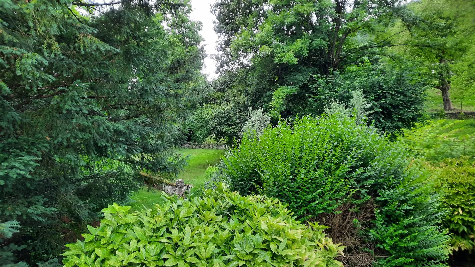 Le jardin est dense et verdoyant, composé de buissons et de feuillages de différentes textures.
