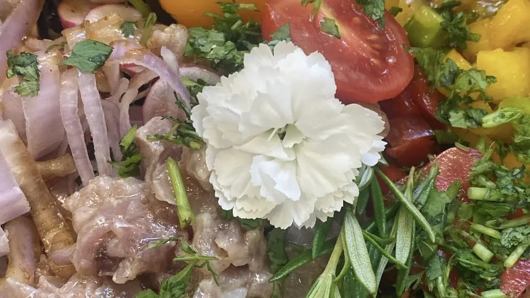 La mule Blanche Arles