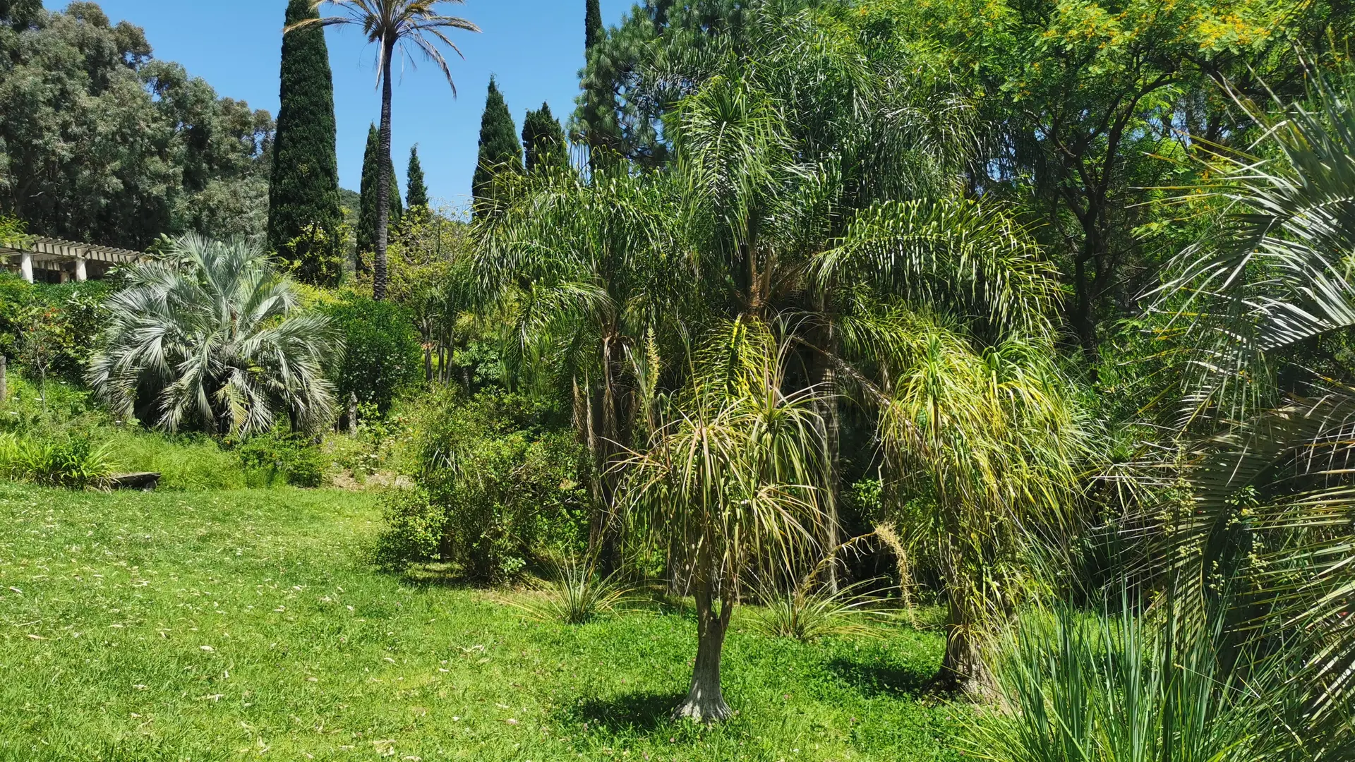 Domaine du Rayol, Jardin d'Amérique subtropicale