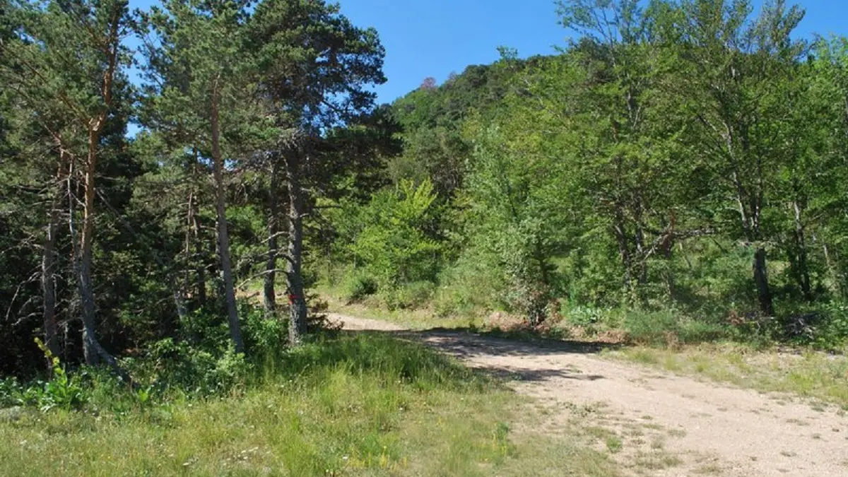 Direction Col des Tourrettes