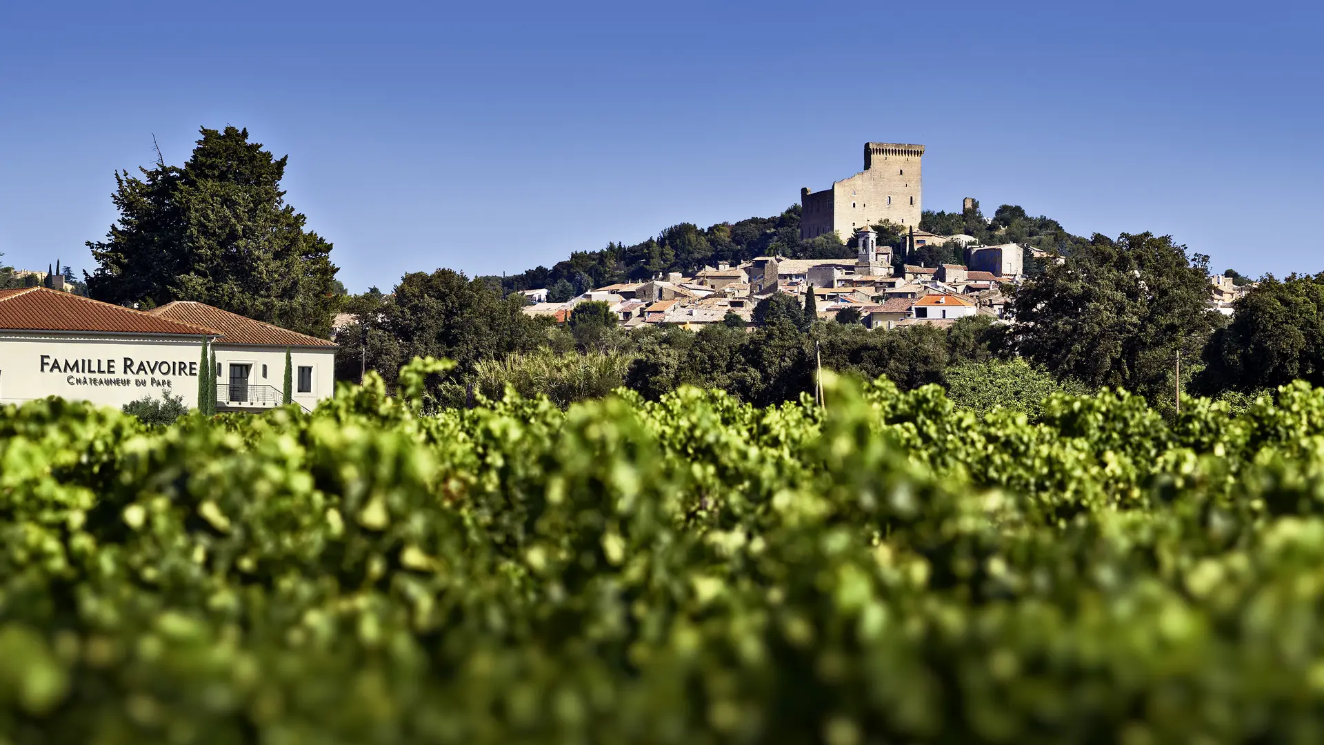 Famille Ravoire – Châteauneuf-du-Pape