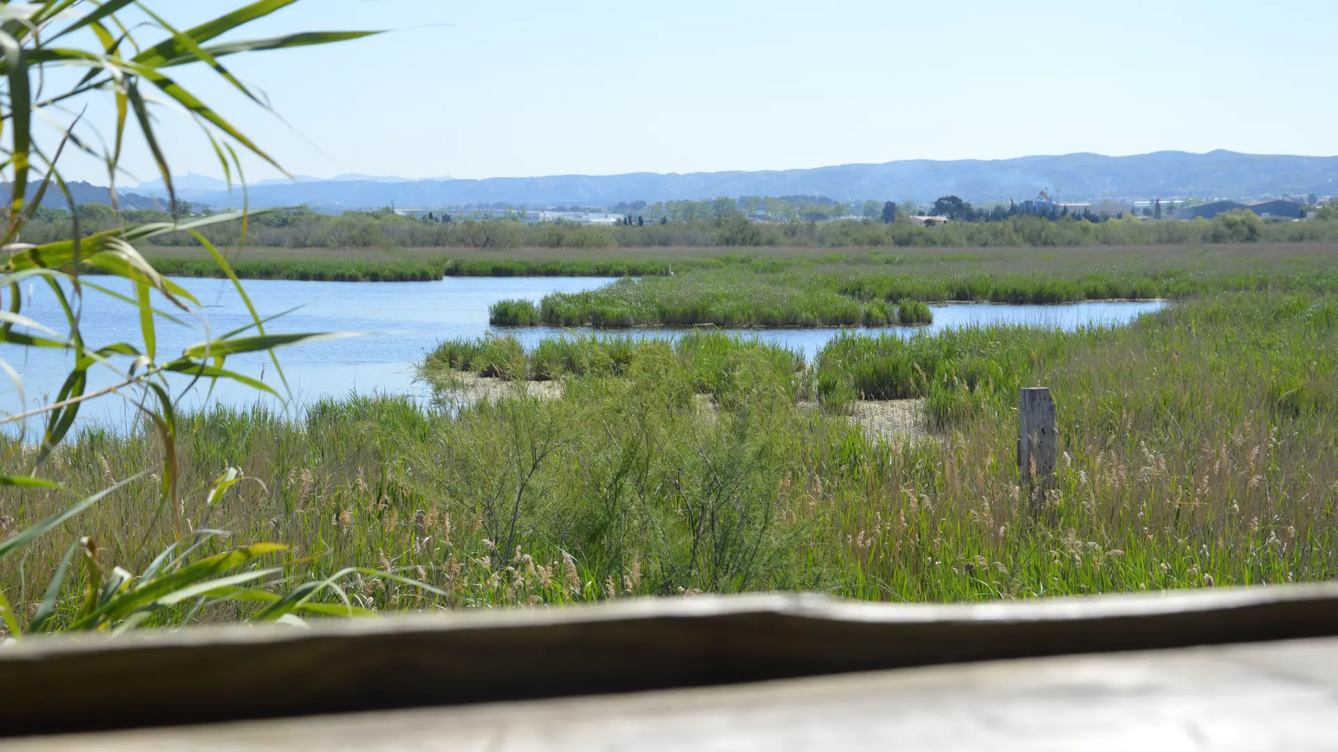 Sentier Patafloux-Barlatier