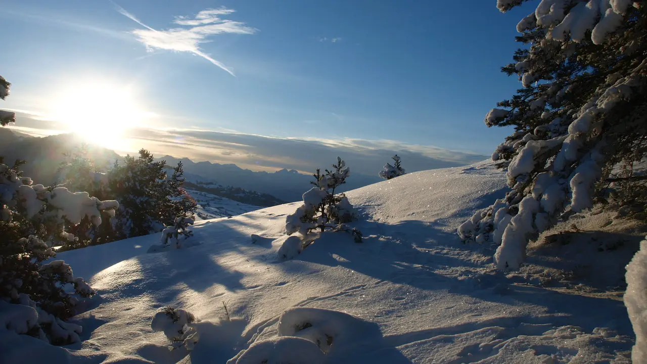 Sortie raquettes nocturne