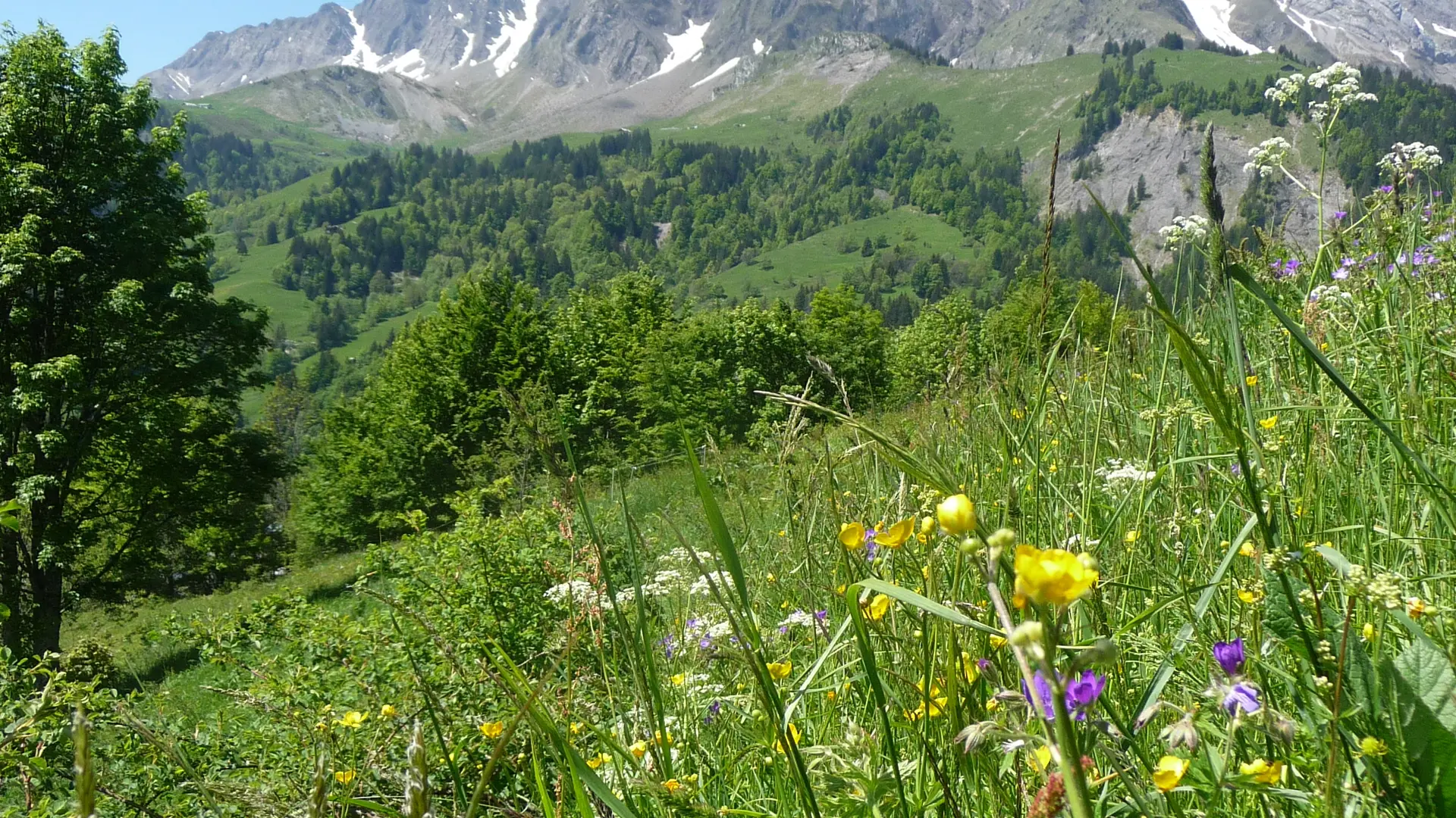 photo-prestataire