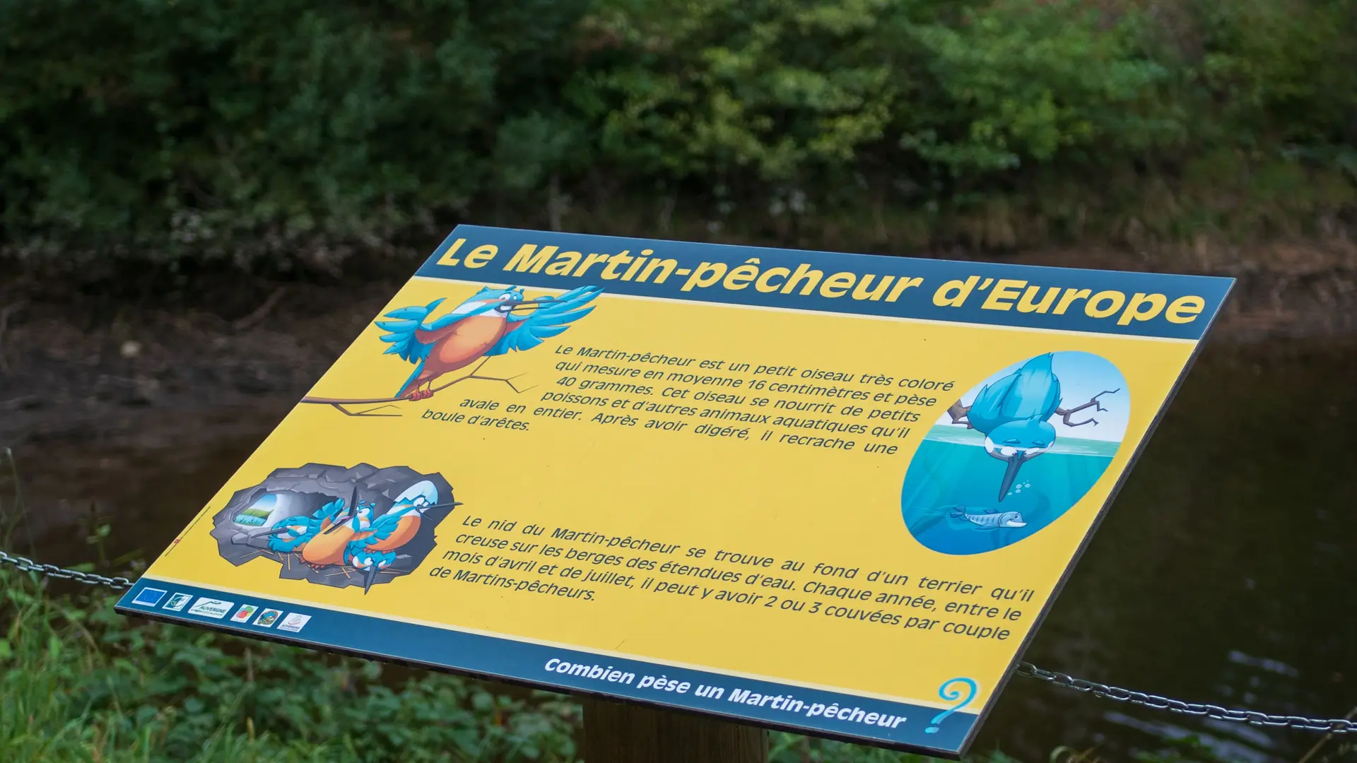 Plan d'eau de St Clément