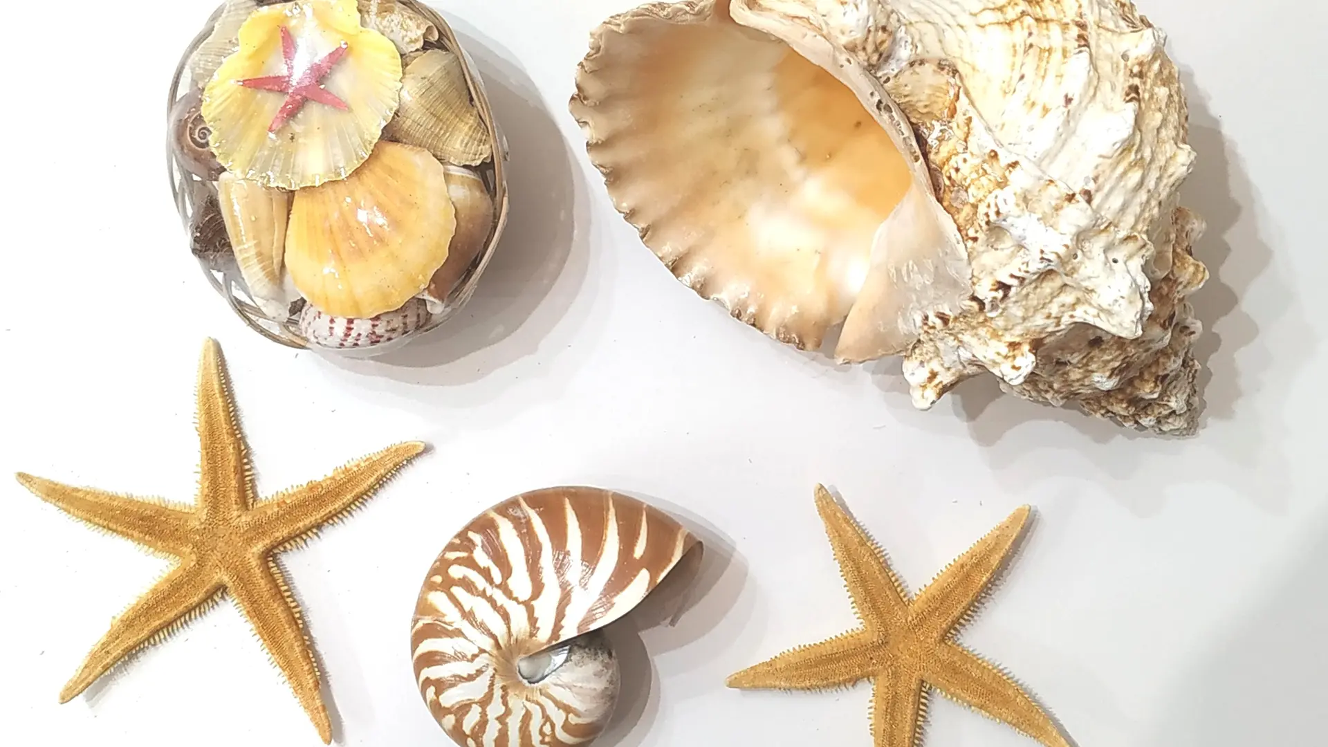 Boutique souvenirs Esprit Sablettes La Seyne sur Mer