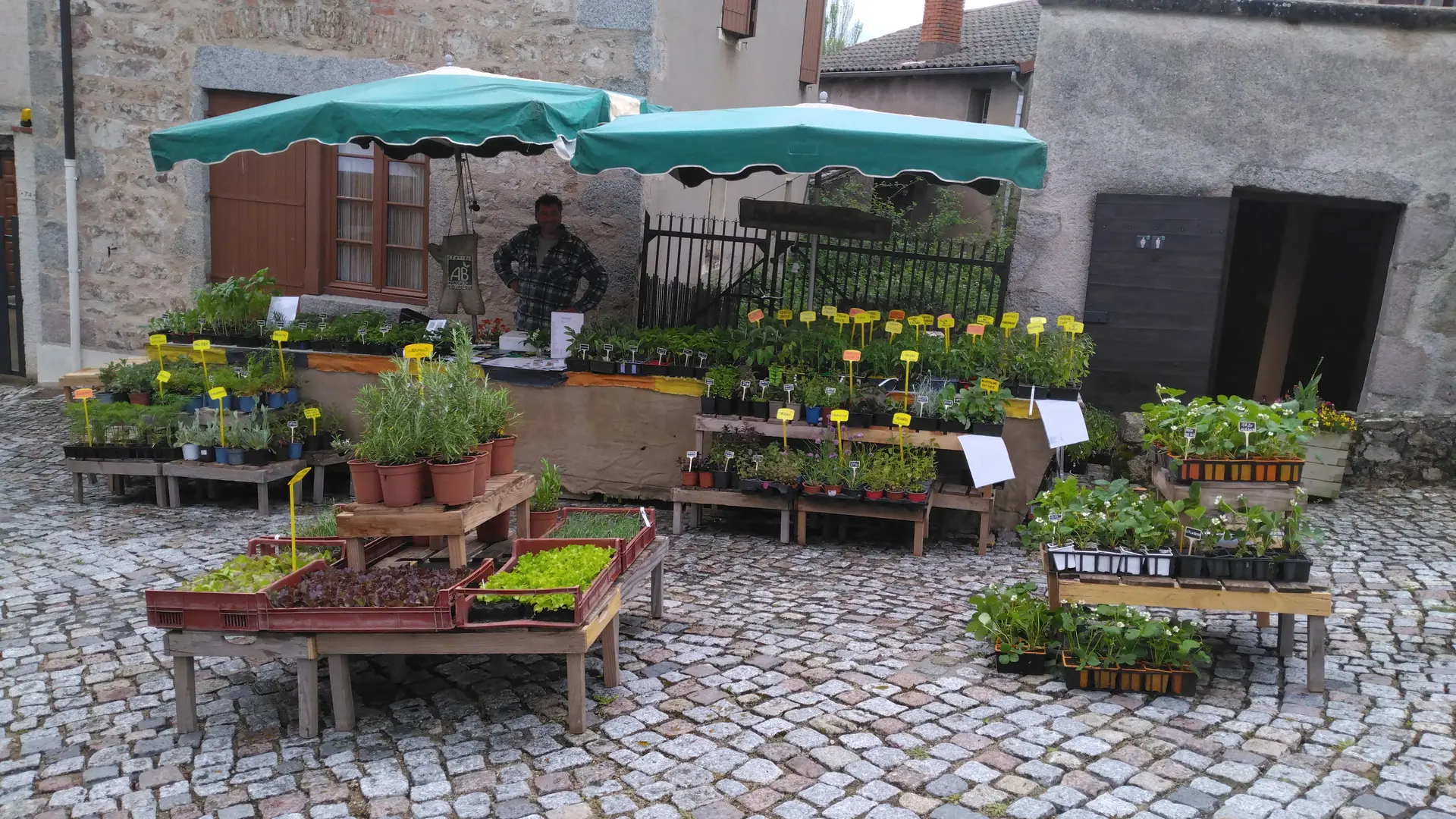 marche aux plants du crozet