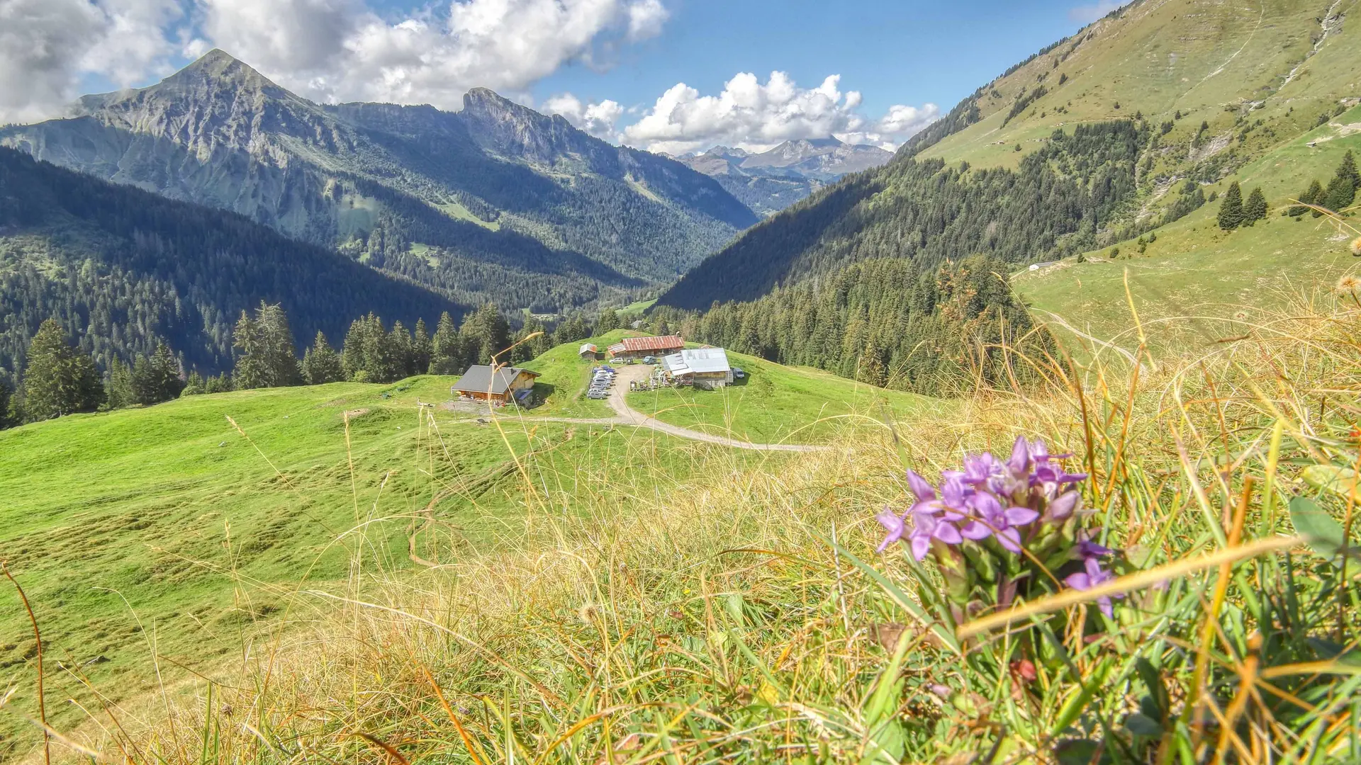 Vue de l'alpage