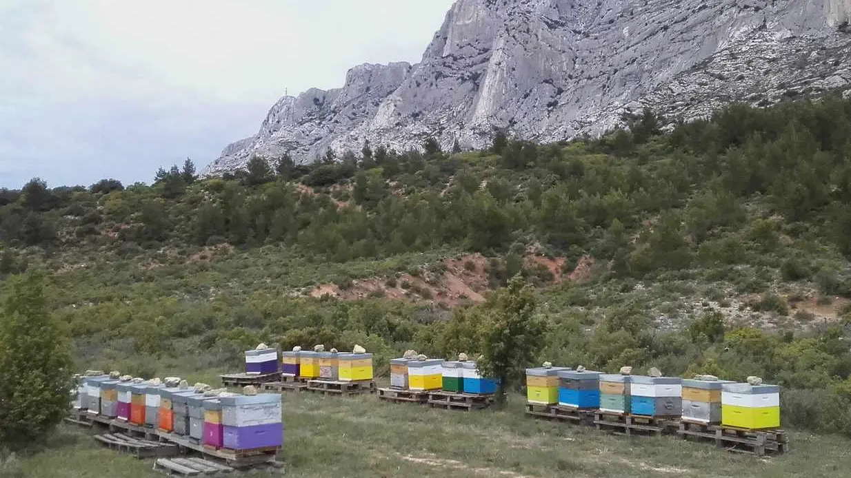 Miellerie Sainte-Victoire