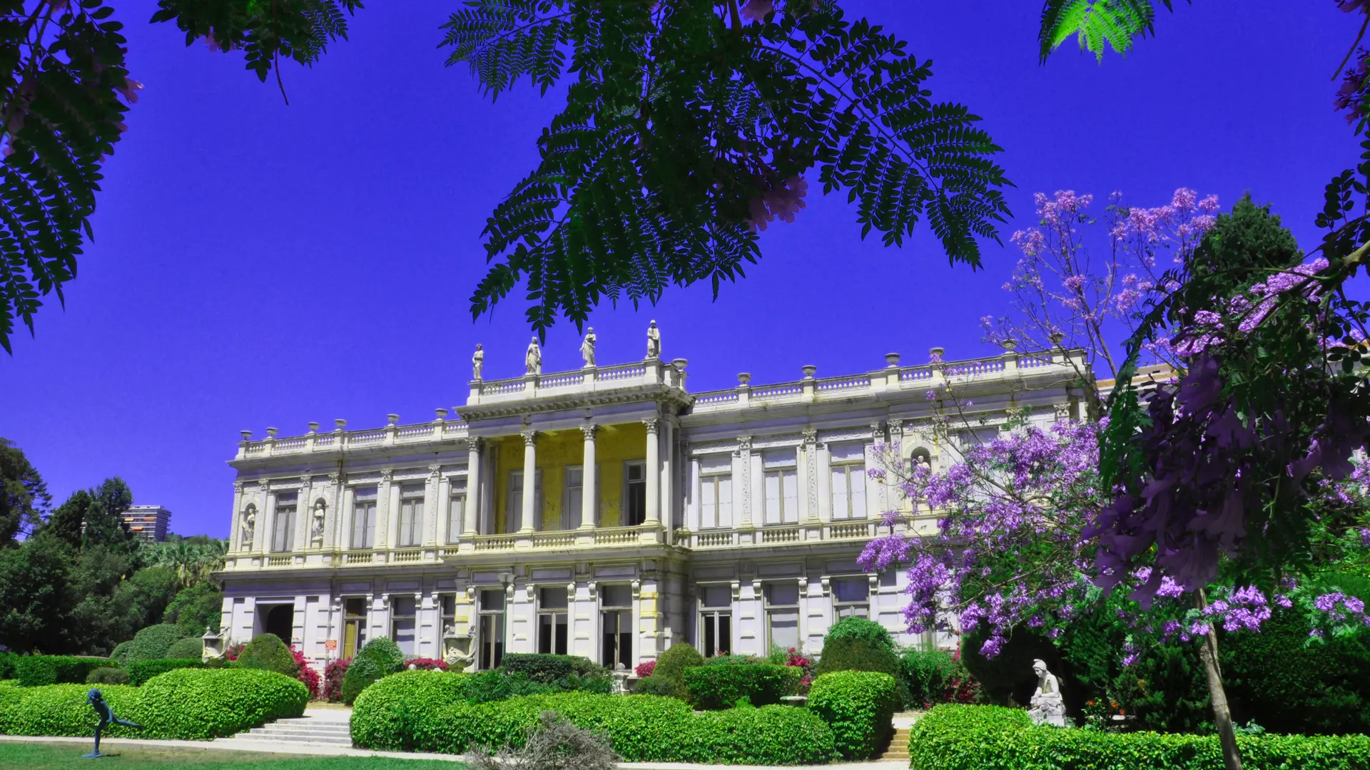 Façade de la Villa Les Palmiers