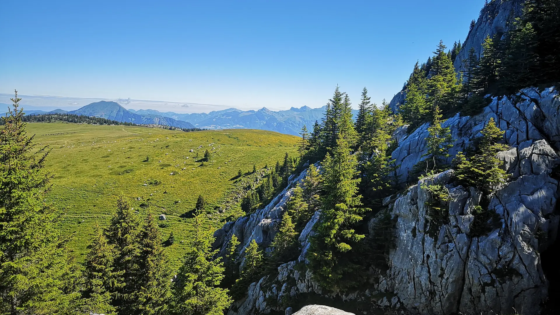 Point de vue