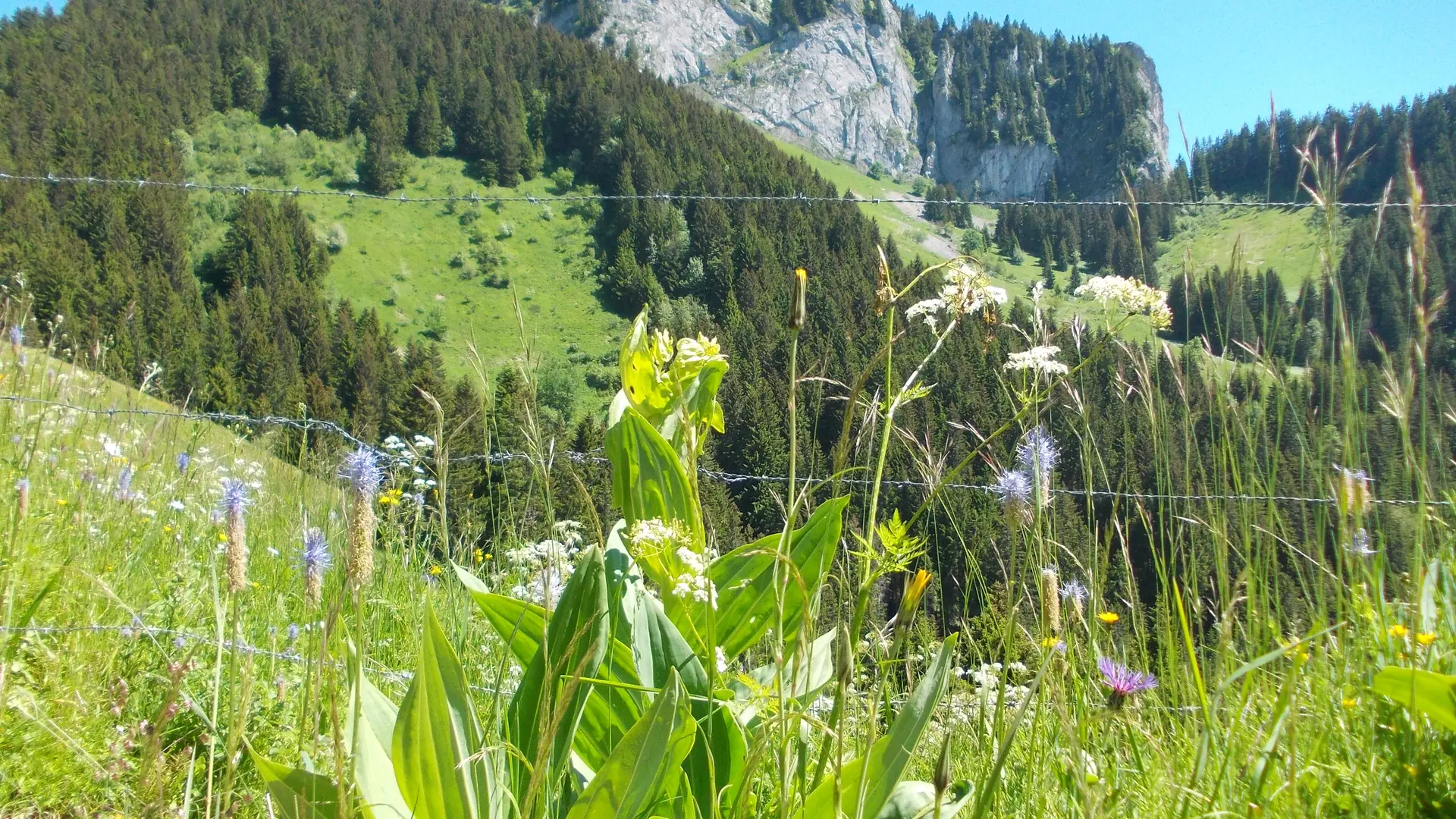 La Charmette