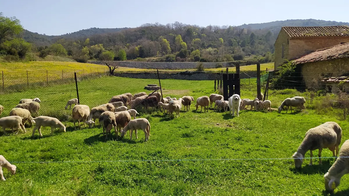 La Bergerie à l'entrée des Monts de Vaucluse