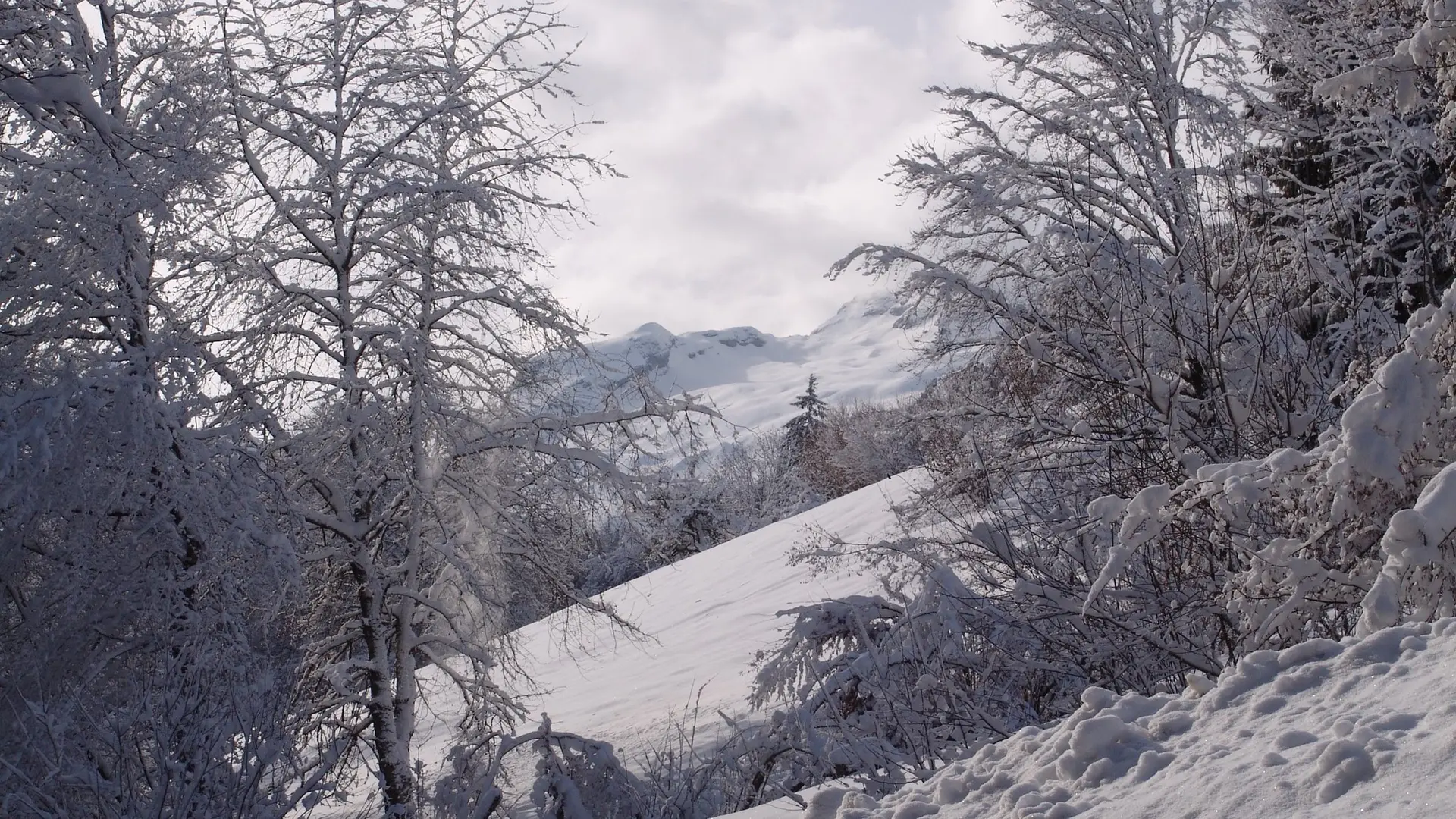 Tournette neige - Le Galetas de la Tournette - Les Clefs, Haute-Savoie