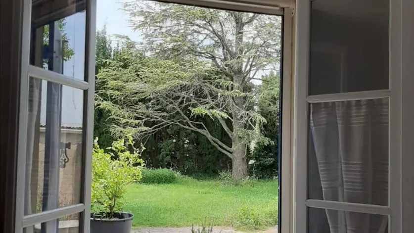 la vue depuis la chambre