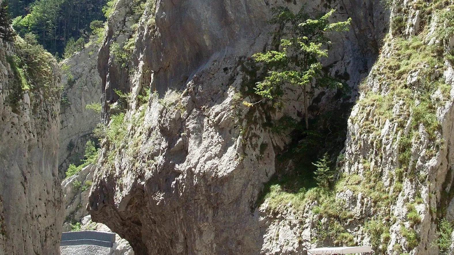 Balade en calèche dans les Clues de Barles