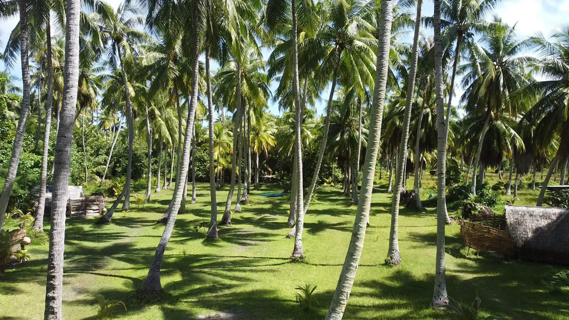 Tikehau Glamping