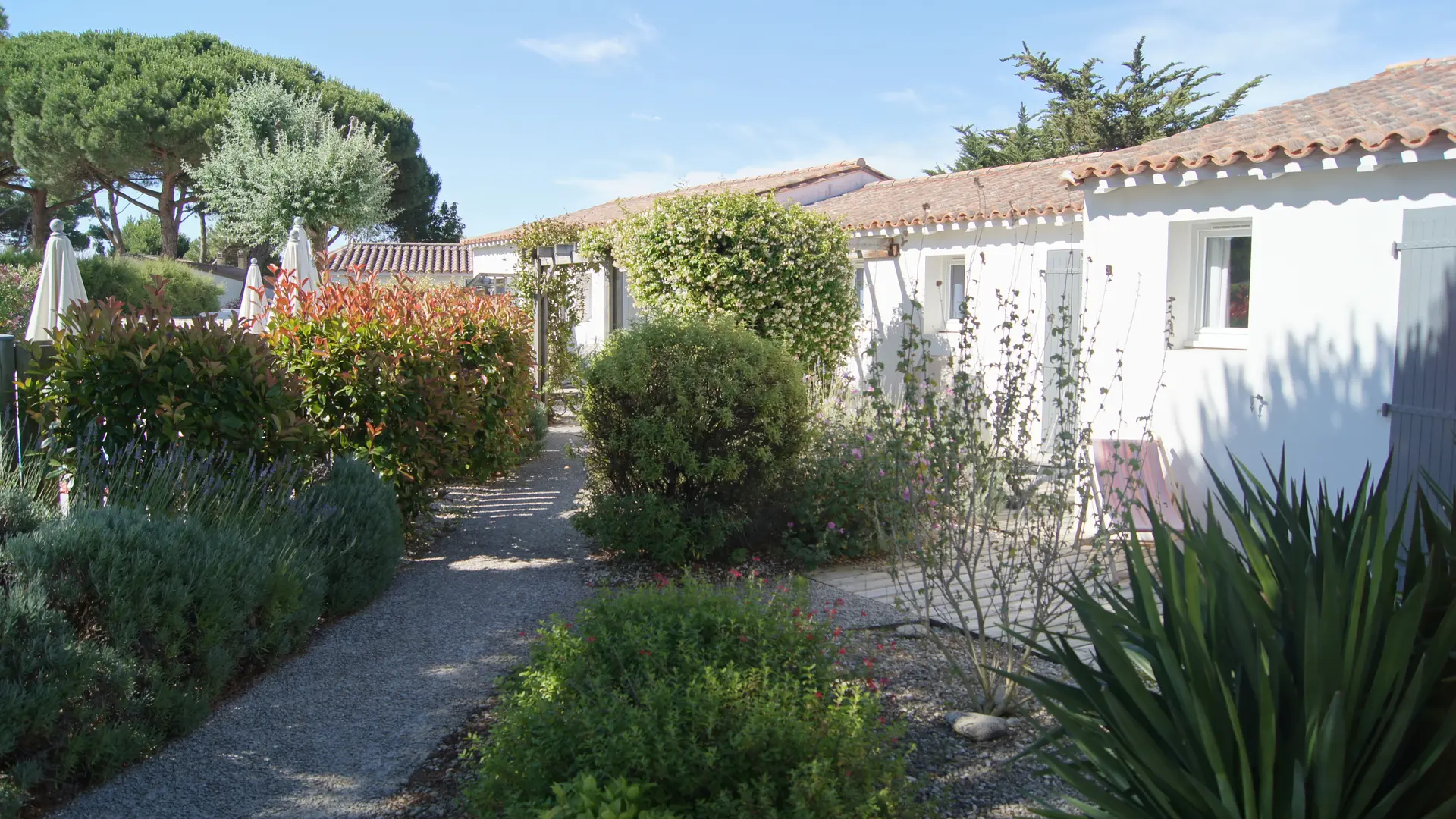 Jardin Piscine