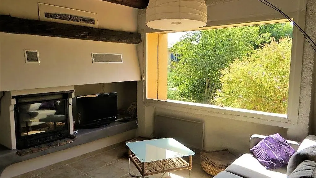 Séjour avec feu de bois