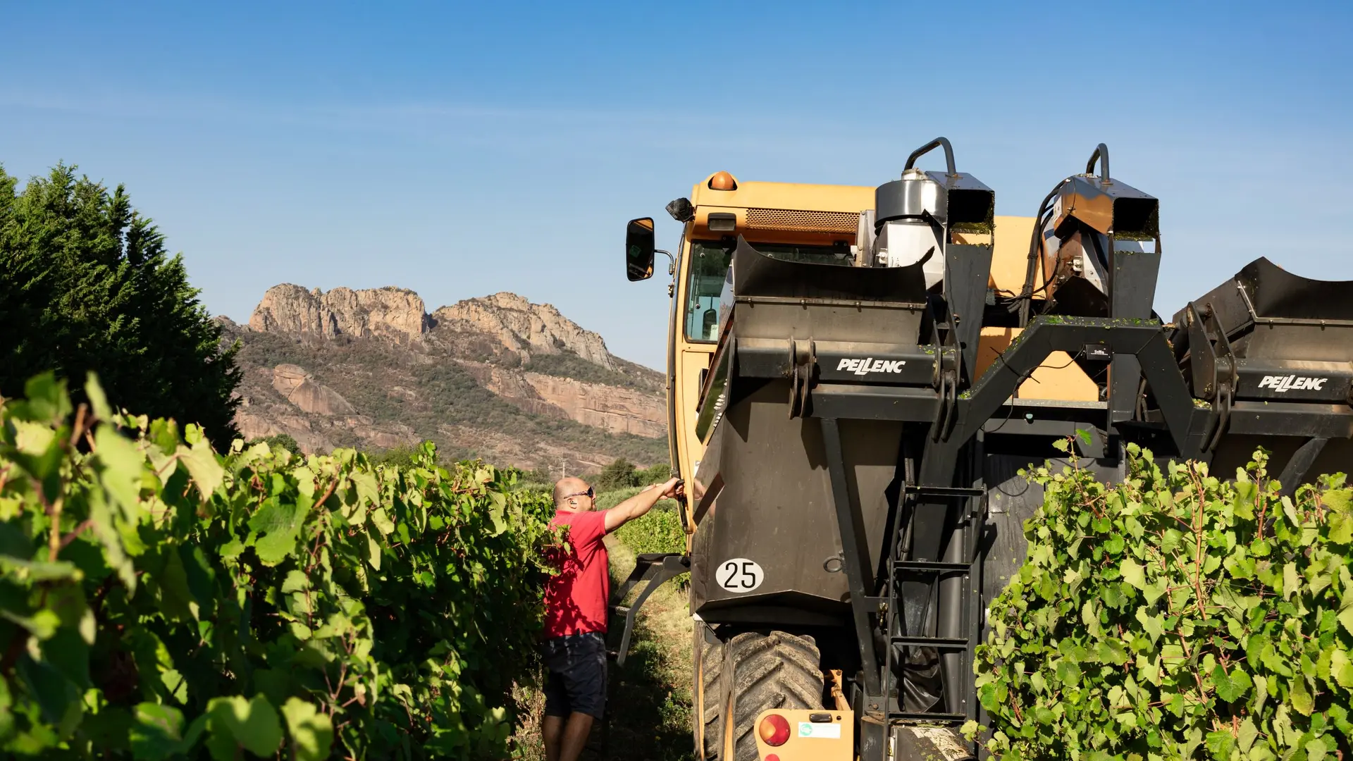 Vendanges blavet 2023