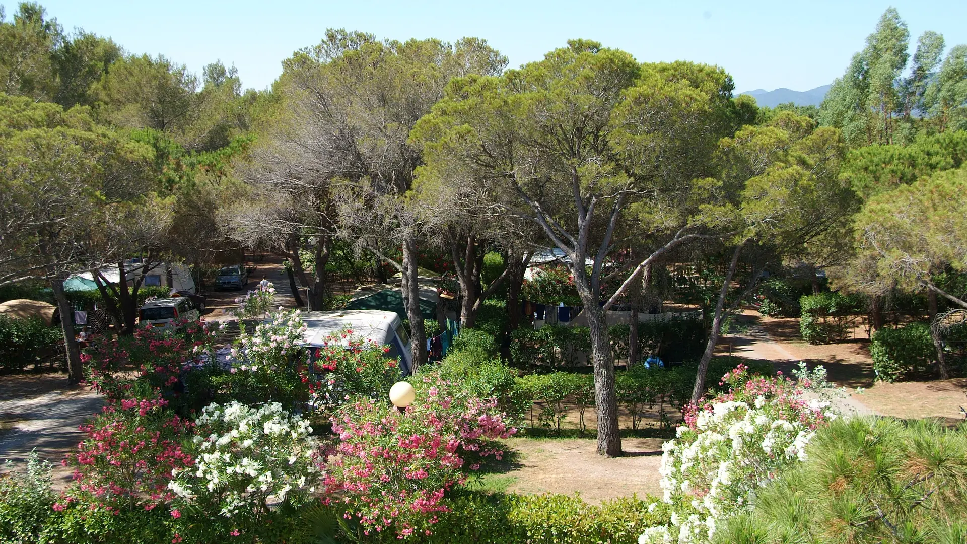 Camping la Baume la Palmeraie Fréjus exterieurs