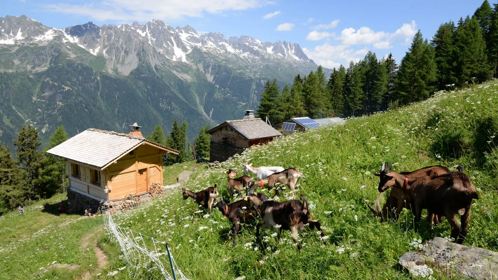 alpage de blaitière chamonix 2