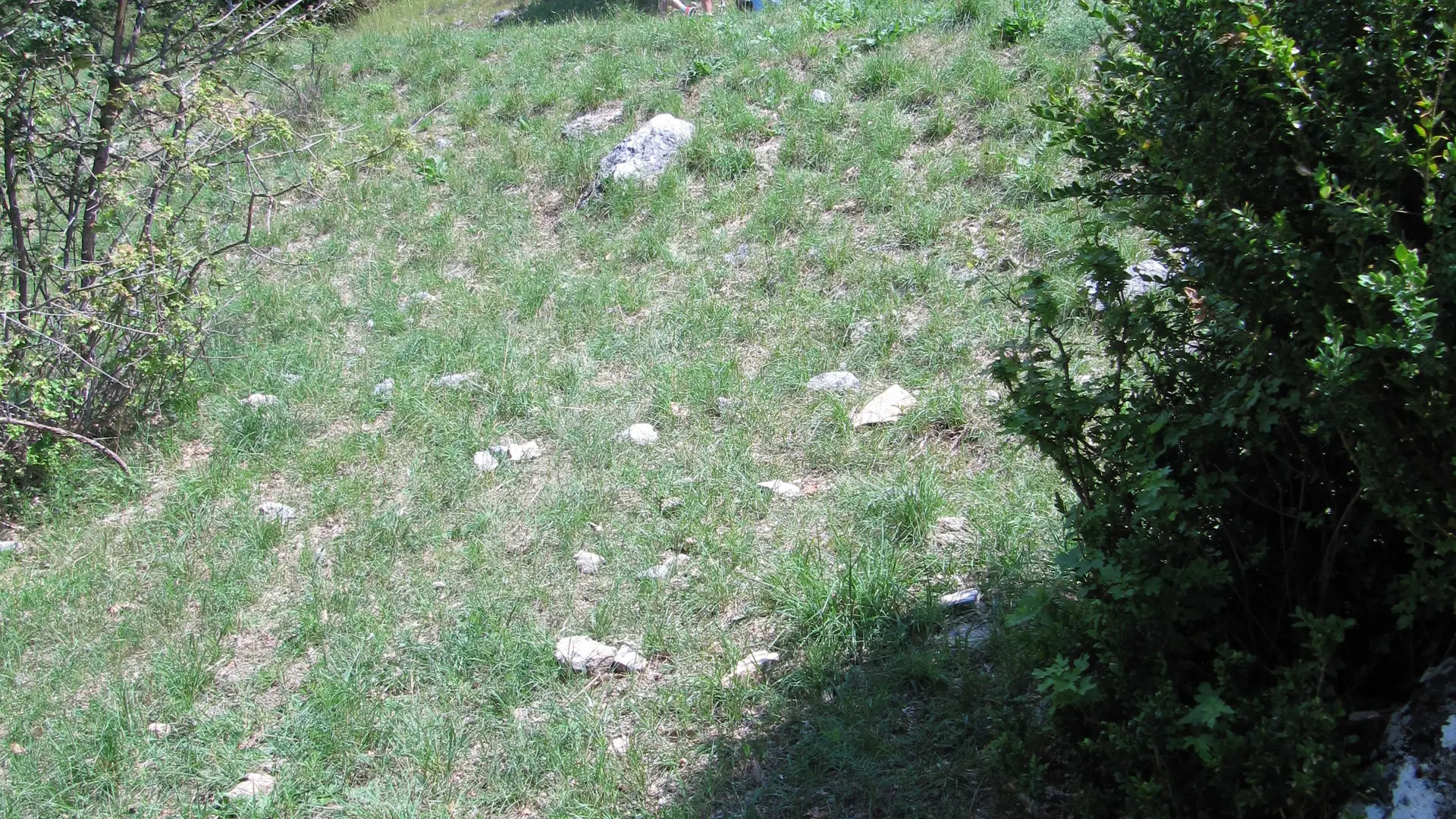 Till Roeskens, Sentier Marcel, 2017, Collection musée Gassendi