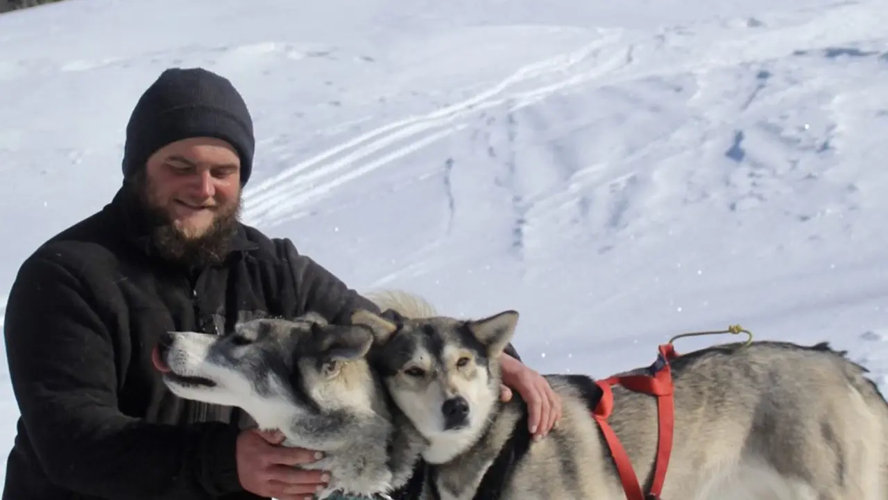 Balade en traîneau à chien avec Banquise Traîneau