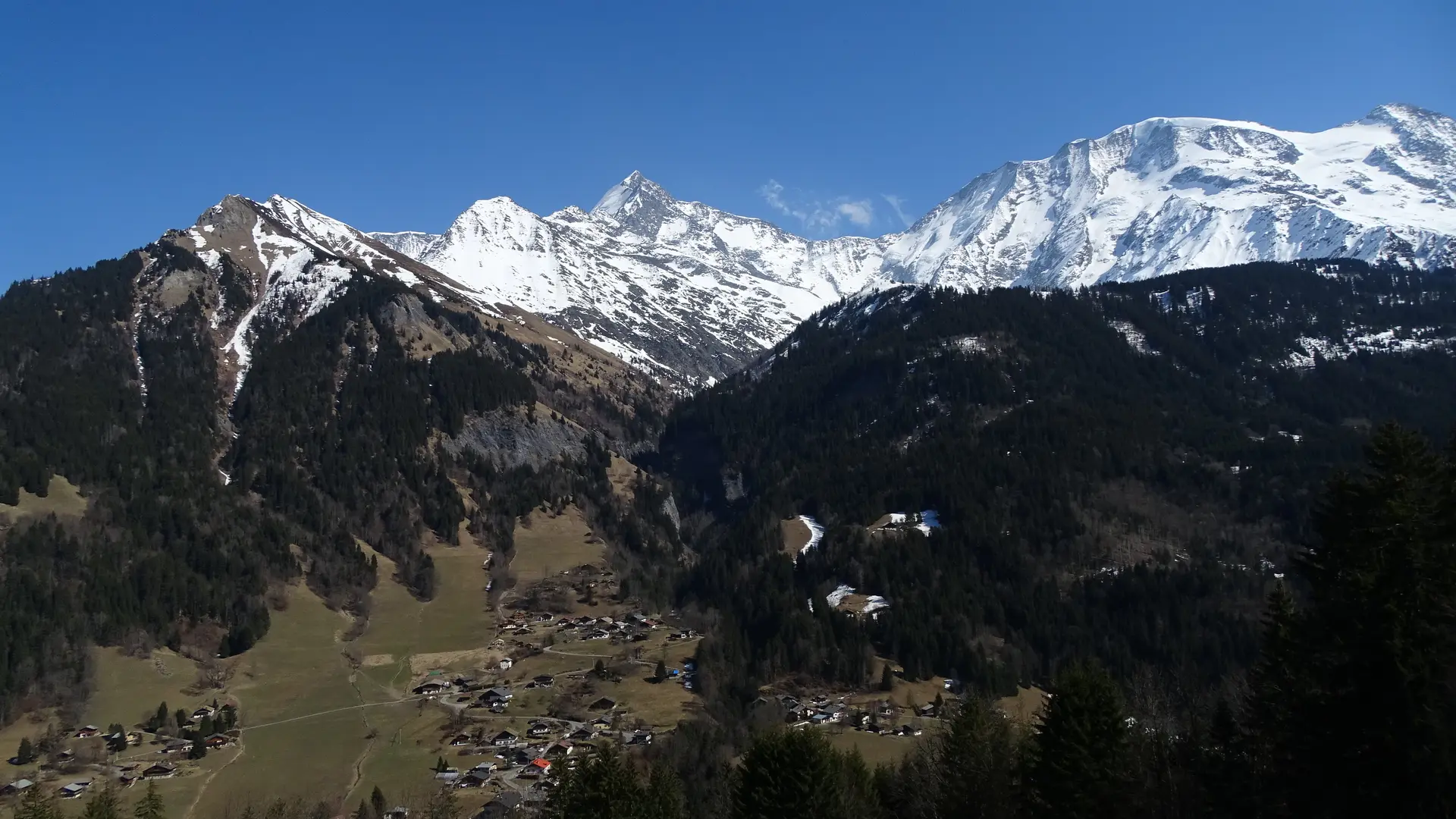 Panorama