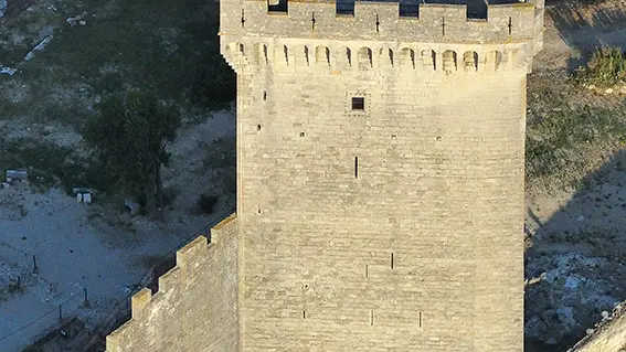 Vue aérienne sur la Tour Polygonale