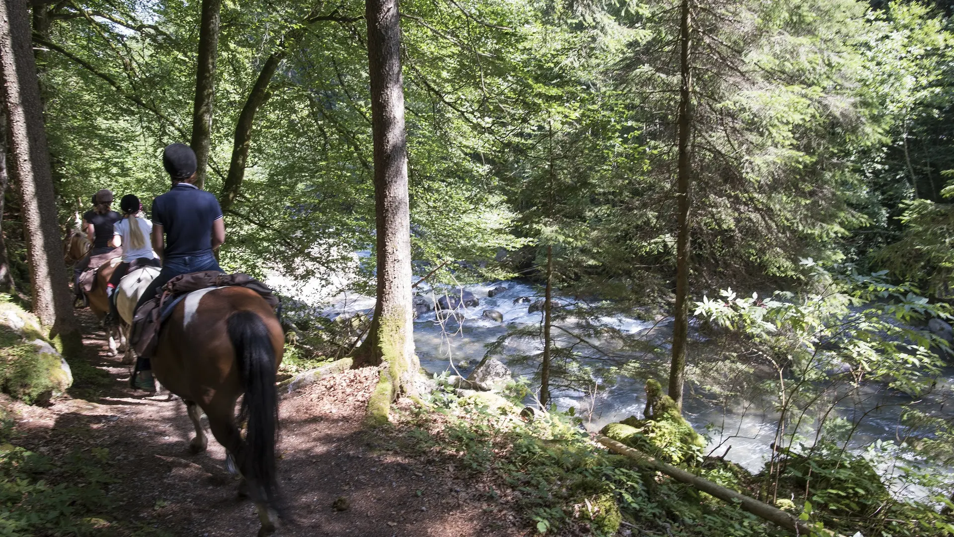 Horse riding