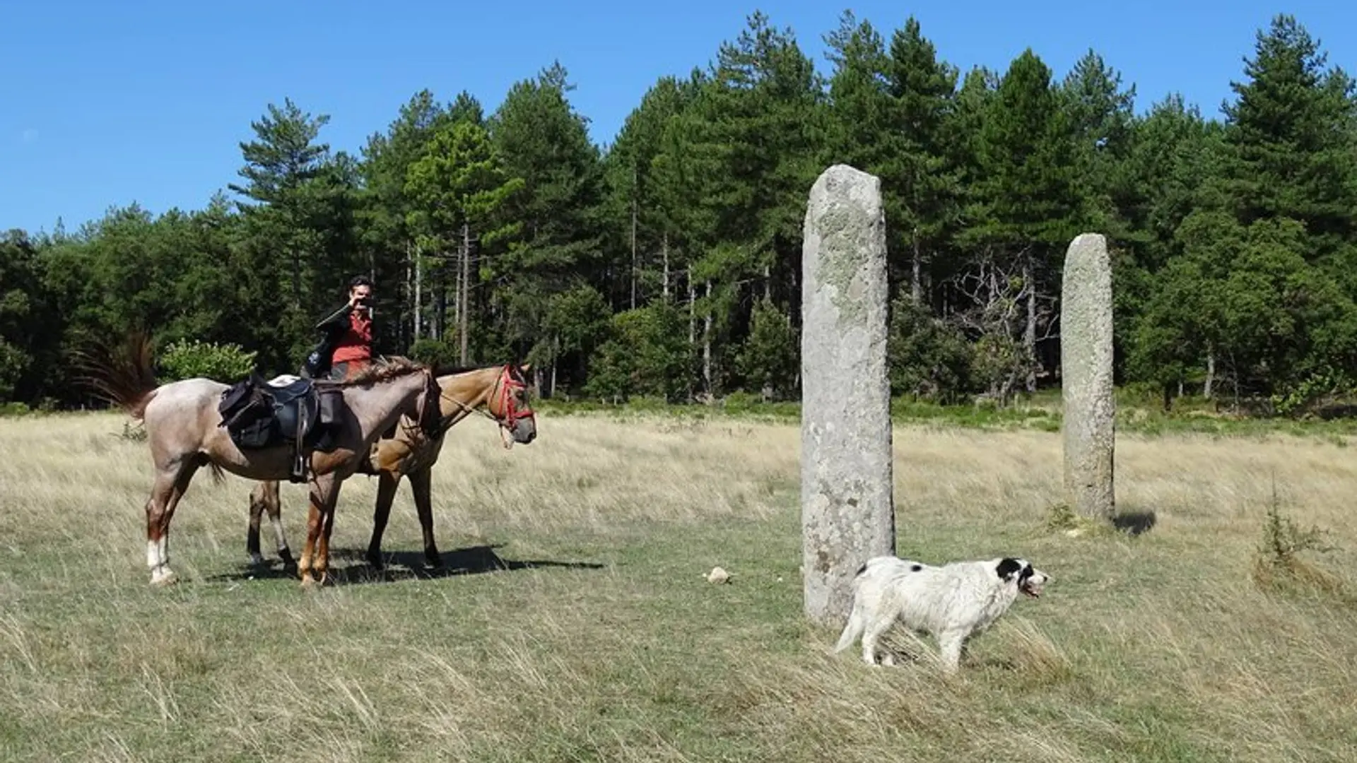 Menhirs des Lamberts