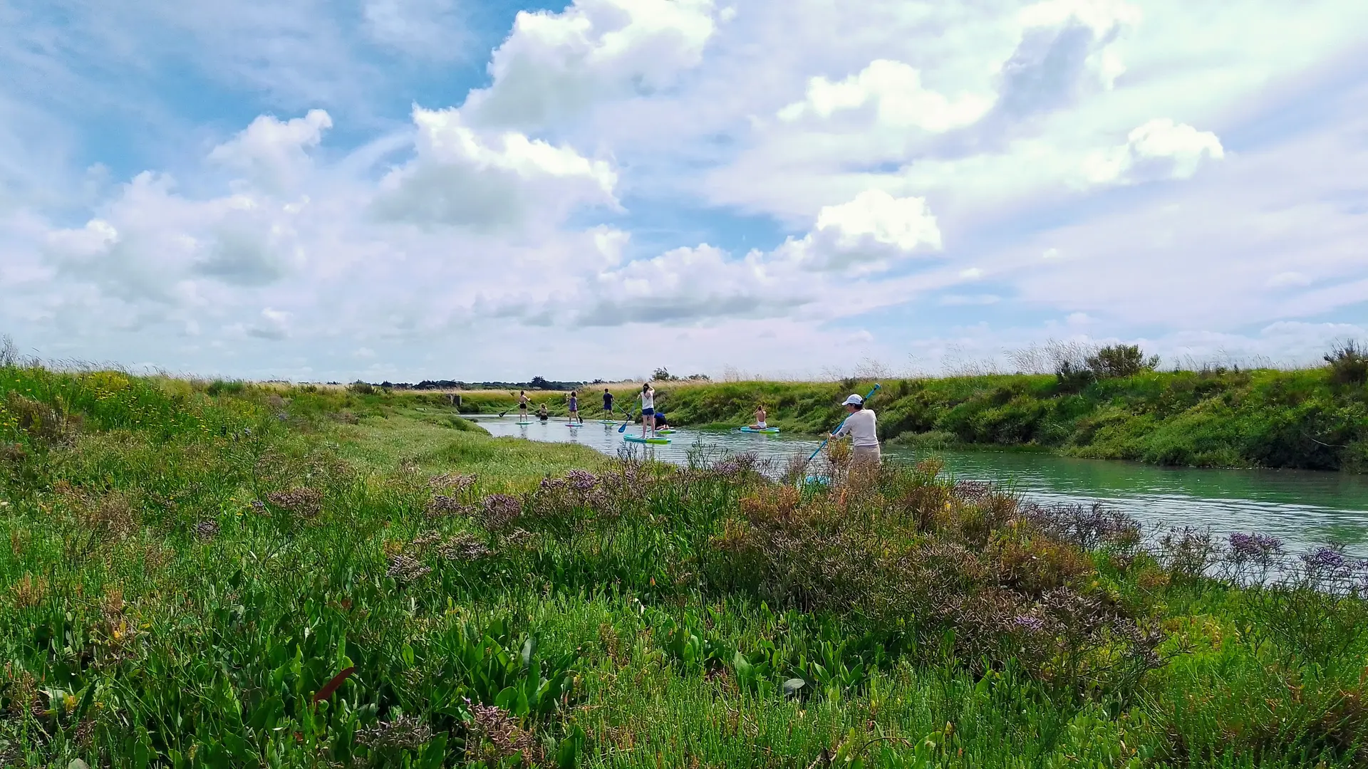 Espaces naturels aux Portes-en-Ré