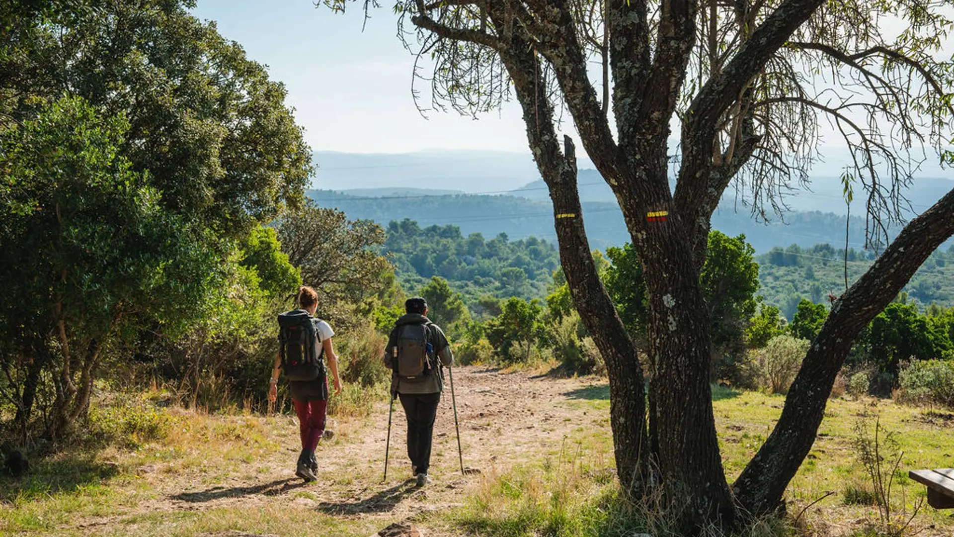 Balade dans la colline