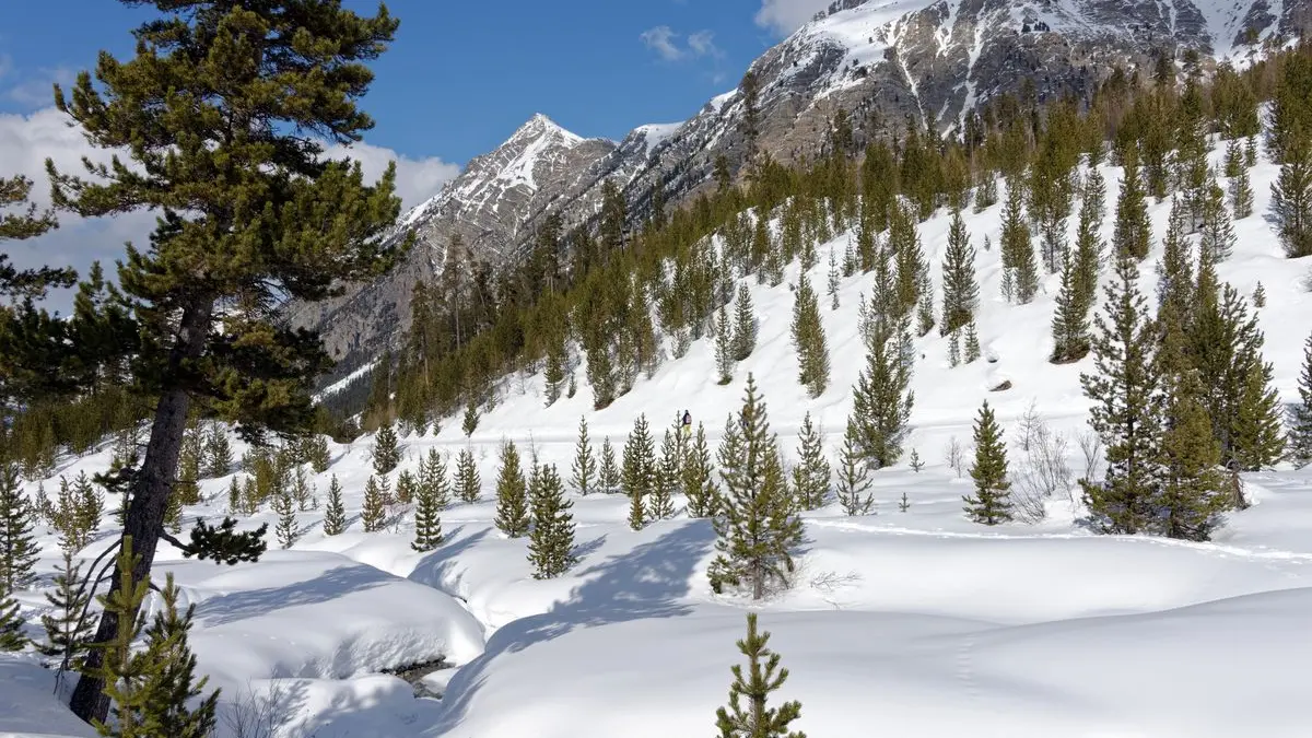 Rando Raquettes Laus - Izoard