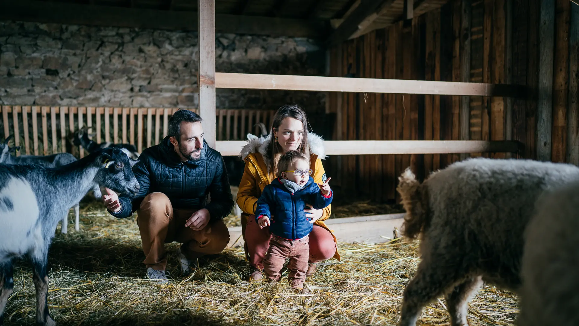 Les animaux de la ferme