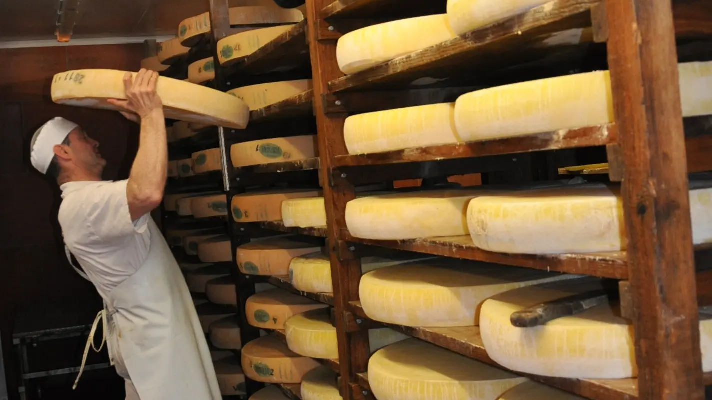 Affinage des meules de comté