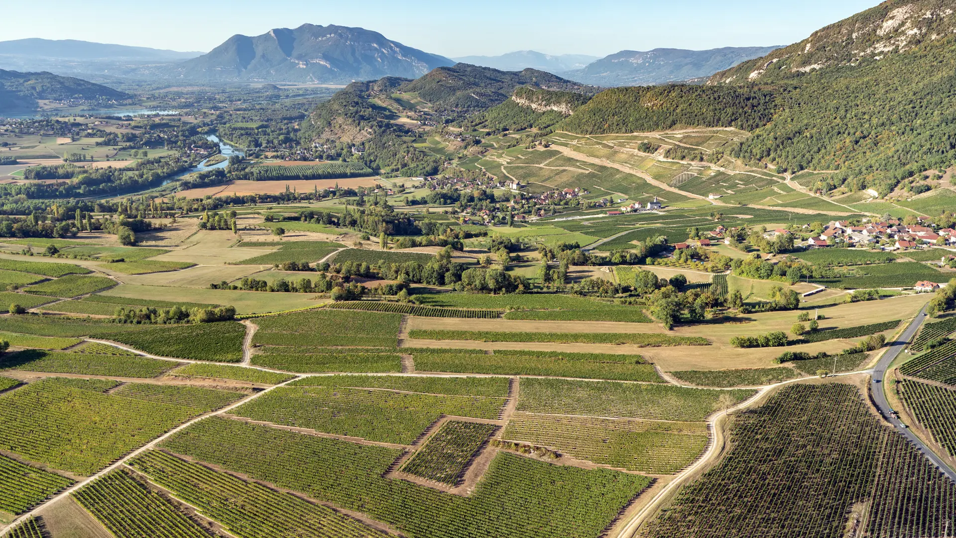 Vignobles de Jongieux