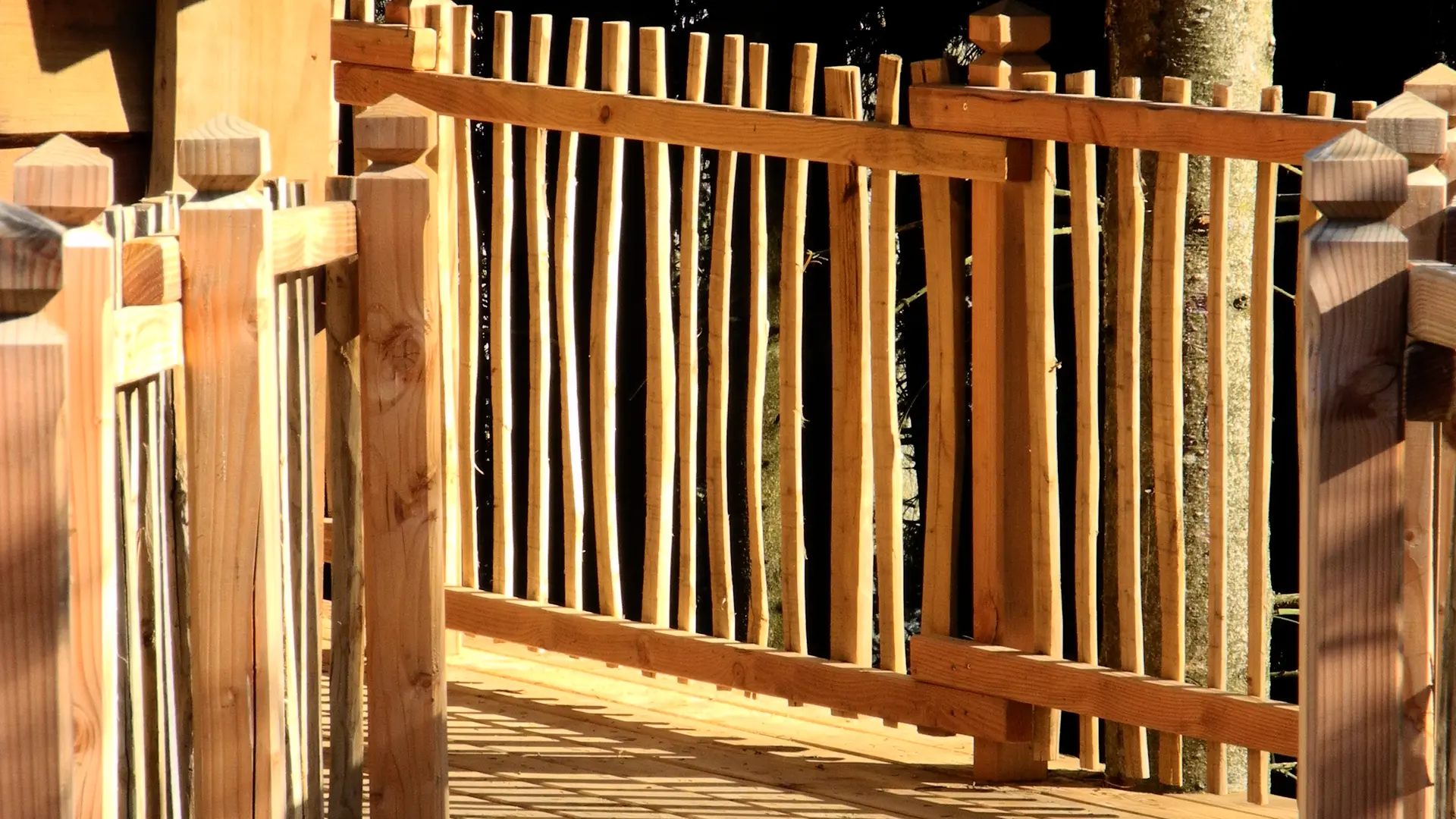 la_cabane_dans_les_arbres