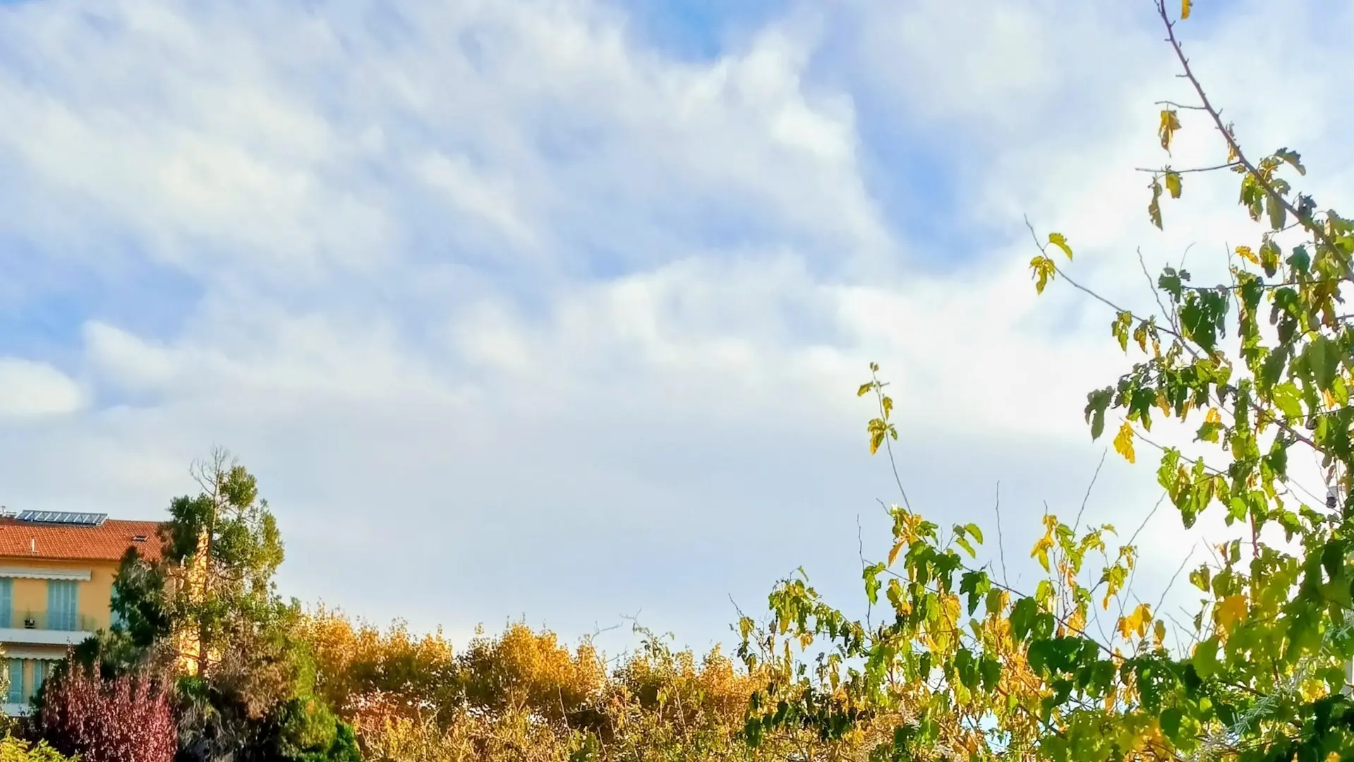Marché alimentaire_Villefranche-sur-Mer
