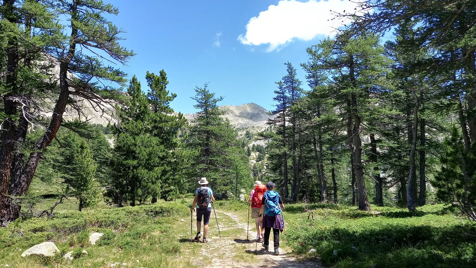 Randonnée accompagnée Mercantour