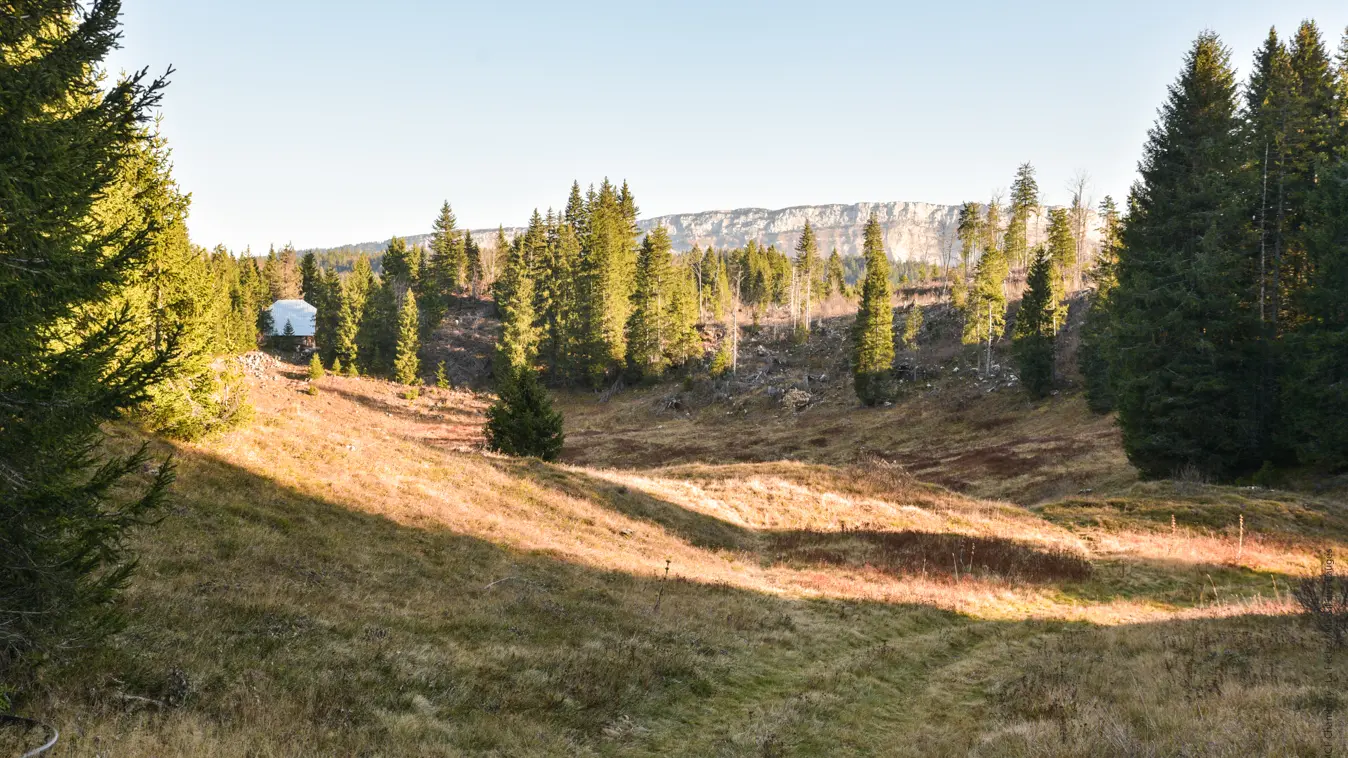 vue sur le Margériaz et petit chalet