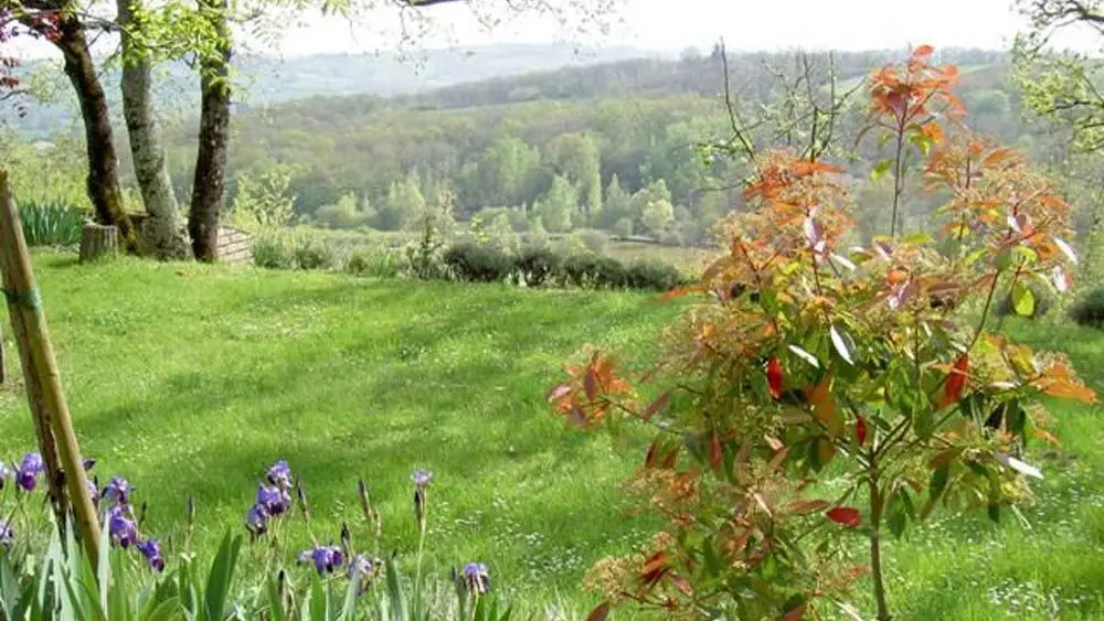 jardin avec vue