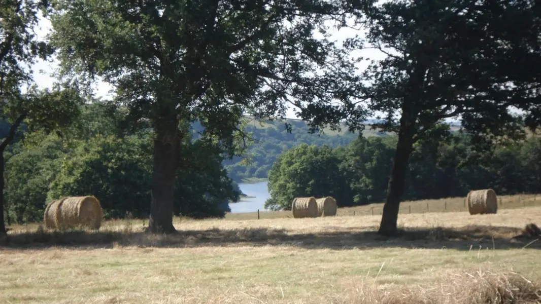 vue sur la Loire