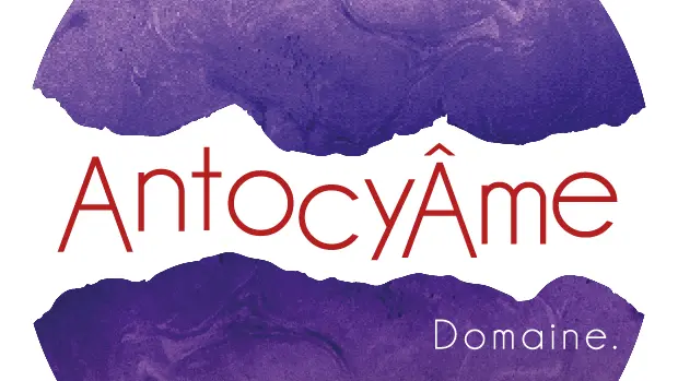 Antocyame