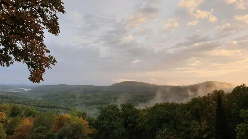 Forêt domaniale de Grésigne
