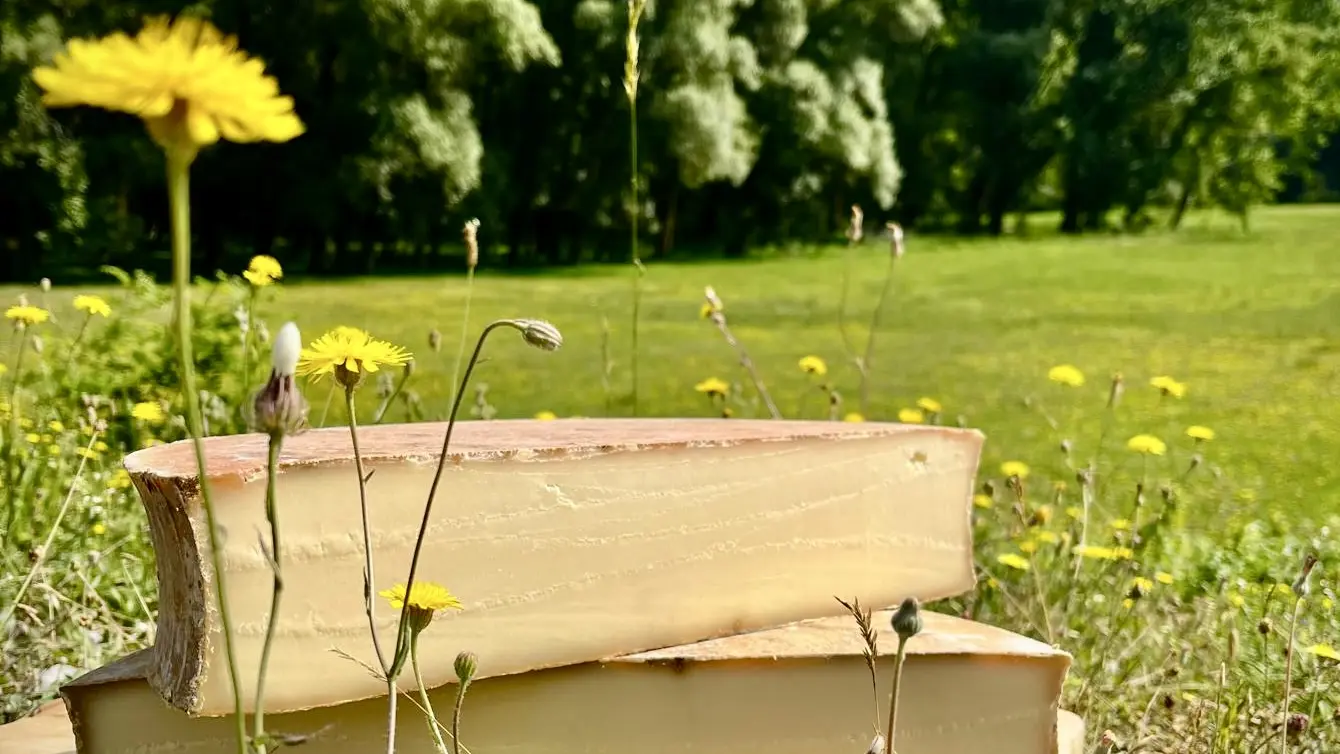 Fromages et Gourmandises CROTS