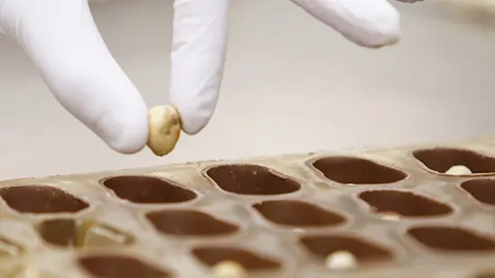 Chocolaterie Puyricard_L'Isle-sur-la-Sorgue plaqsue de fabircation de chocolats