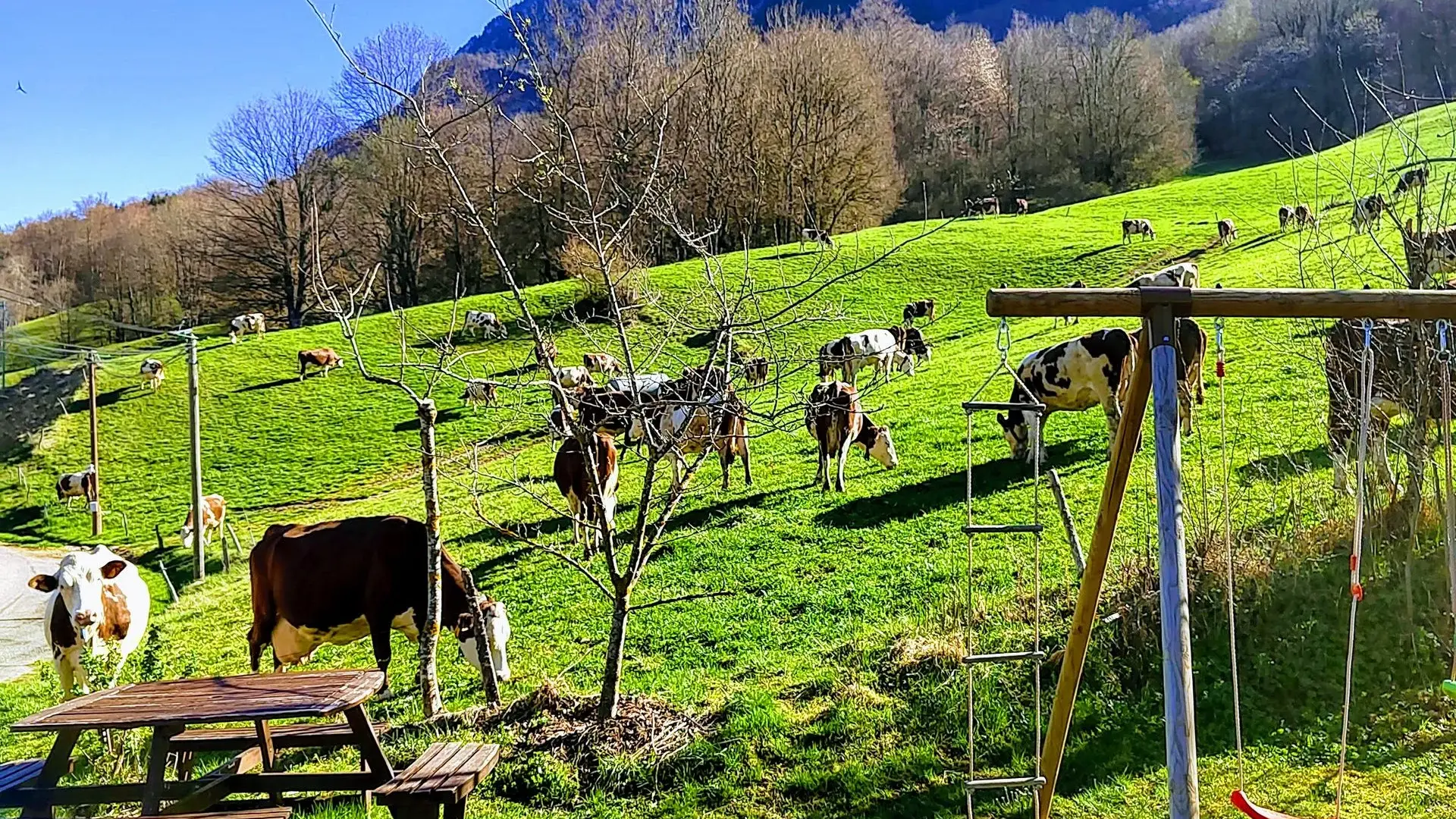 Le paysage vue depuis le jardin